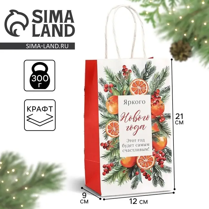 Пакет подарочный новогодний крафтовый «С Новым годом», 12 х 9 х 21 см Пакет подарочный новогодний крафтовый «С Новым годом», 12 х 9 х 21 см