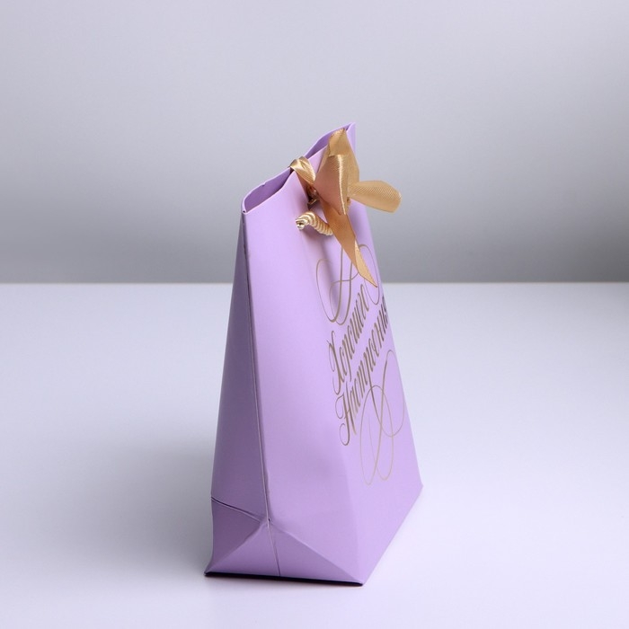 Пакет подарочный, упаковка, «Настроение», 14 х 17 х 7 см Пакет подарочный, упаковка, «Настроение», 14 х 17 х 7 см