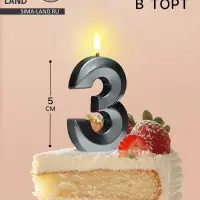 Свеча в торт на шпажке &laquo;Цифра 3&raquo;, черная, 5 см