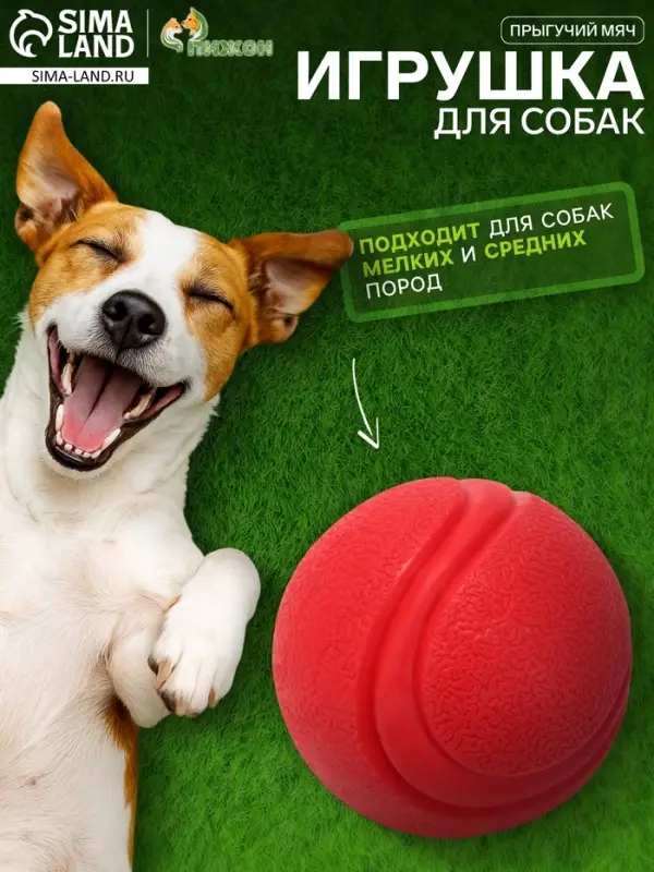 Игрушка для собак &laquo;Прыгучий мяч&raquo;, 5 см, цельнолитая, TPR, красная