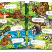 Многоразовые наклейки &laquo;Изучаем животных&raquo;, набор 2 шт.