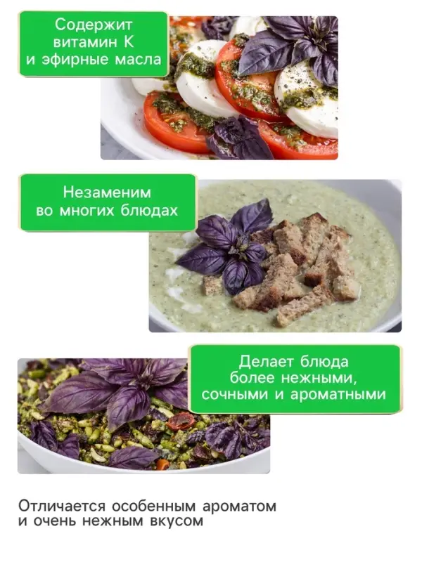 Семена Базилик овощной &laquo;Арарат&raquo;, 0.2 г, &laquo;Рецепты дедушки Никиты&raquo;