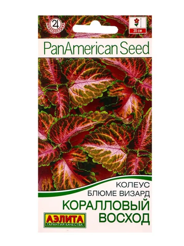 Семена цветов Колеус блюме Коралловый восход Мн Спецсерия PanAmerican, Ц/П,5 шт. Семена цветов Колеус блюме Коралловый восход Мн Спецсерия PanAmerican, Ц/П,5 шт.