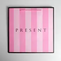 Пакет подарочный квадратный, упаковка, &laquo;Present&raquo;, 30&times;30&times;30 см