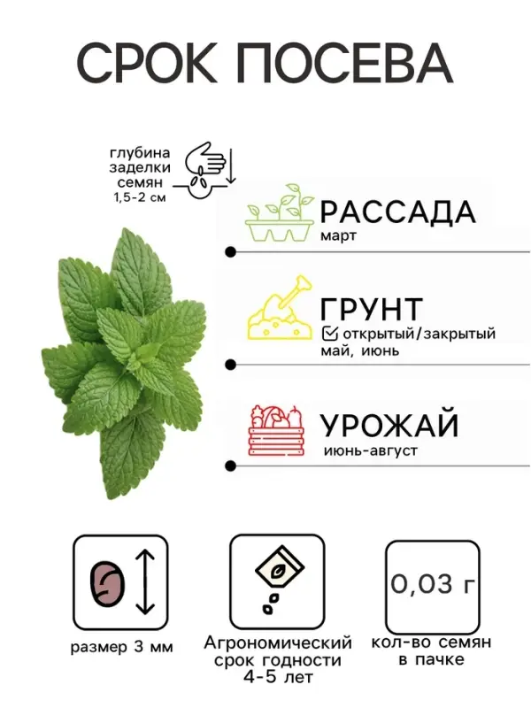 Семена Мята перечная &laquo;Ворожея&raquo;, 0.03 г, &laquo;Артикул&raquo;