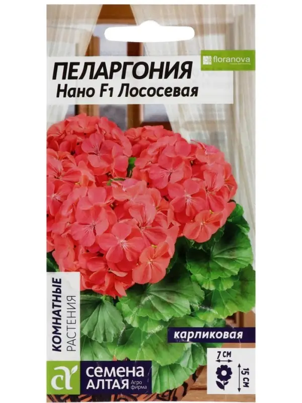 Семена цветов Пеларгония  Семена цветов Пеларгония "Нано", ц/п,  "Лососевая", ц/п,  3 шт