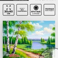 Алмазная вышивка полное заполнение &laquo;Березки&raquo;, 30&times;40 см, на холсте