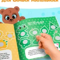 Наклейки &laquo;Умные кружочки&raquo;, набор 4 шт. по 12 стр.