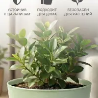 Горшок для цветов &laquo;Фиалочка&raquo;, 500 мл, d=12.5 см, h=7 см, пластиковый, зелёный