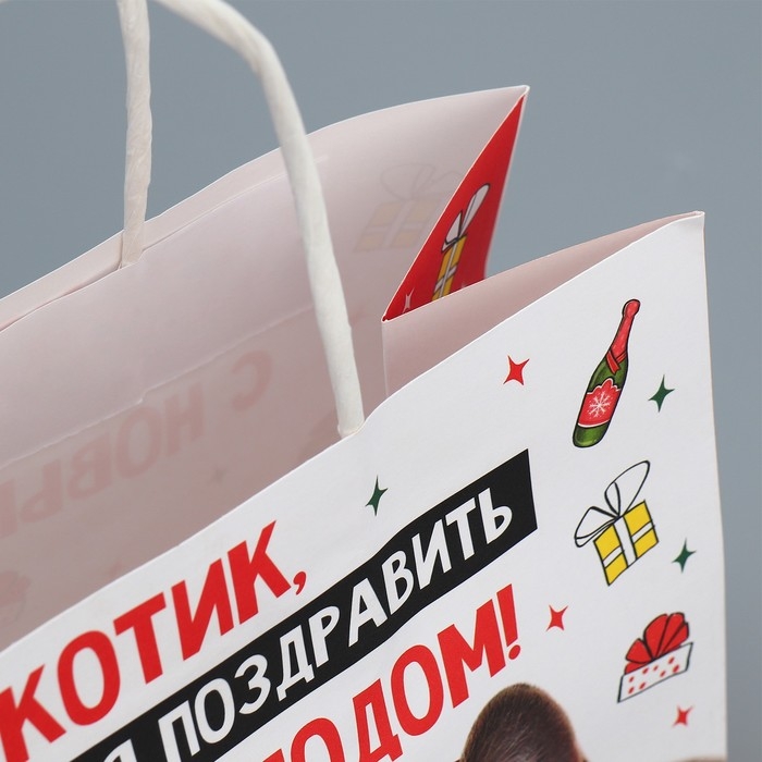 Пакет подарочный новогодний крафтовый «Котик», 22 х 22 х 11 см, Новый год Пакет подарочный новогодний крафтовый «Котик», 22 х 22 х 11 см, Новый год