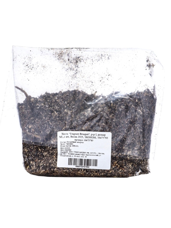 Хоста "Fragrant Bouquet", р-р I, размер ML,1 шт, Весна 2025, ЭКОНОМ,