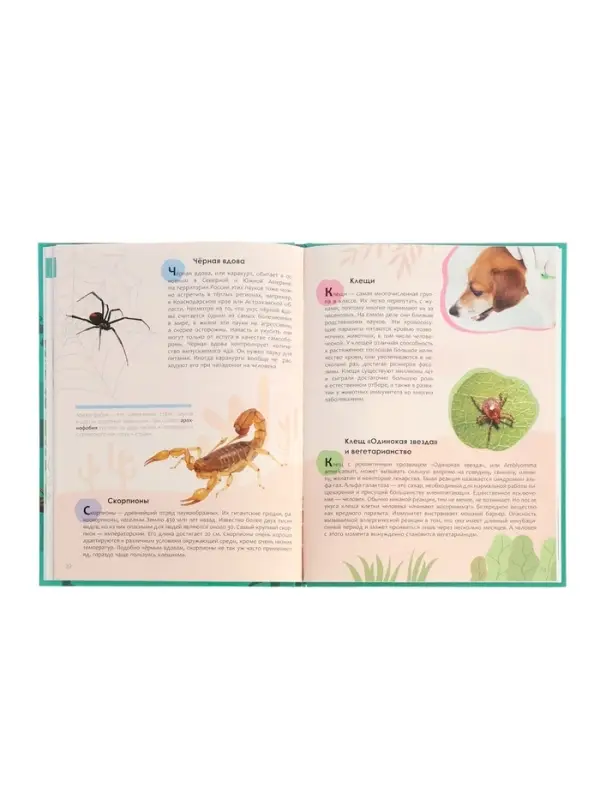 Ээнциклопедия  Ээнциклопедия "Животные"