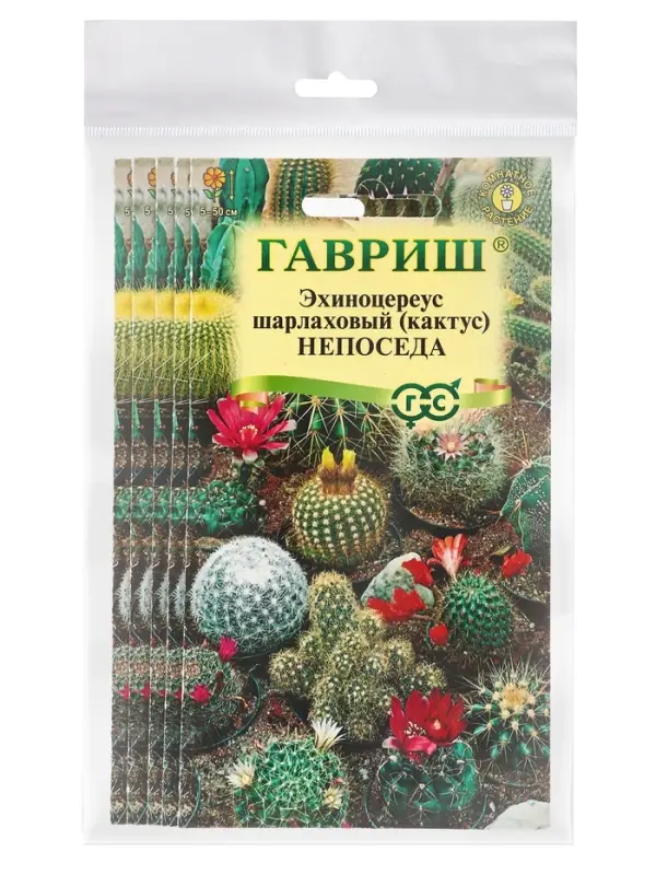 Набор семян комнатных Кактус &laquo;Непоседа&raquo;, 5 шт.