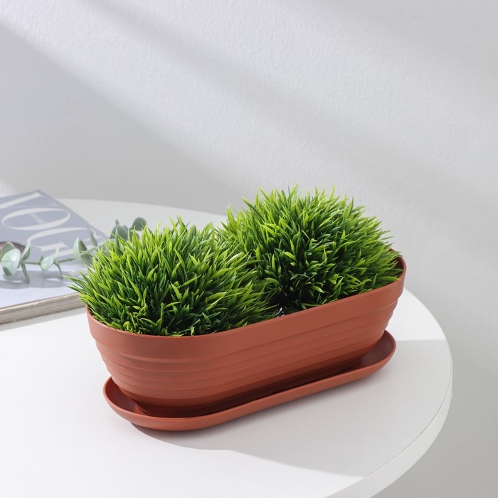 Горшок для кактуса с поддоном «Алиса», 0,9 л, h=7 см, цвет терракот Горшок для кактуса с поддоном «Алиса», 0,9 л, h=7 см, цвет терракот