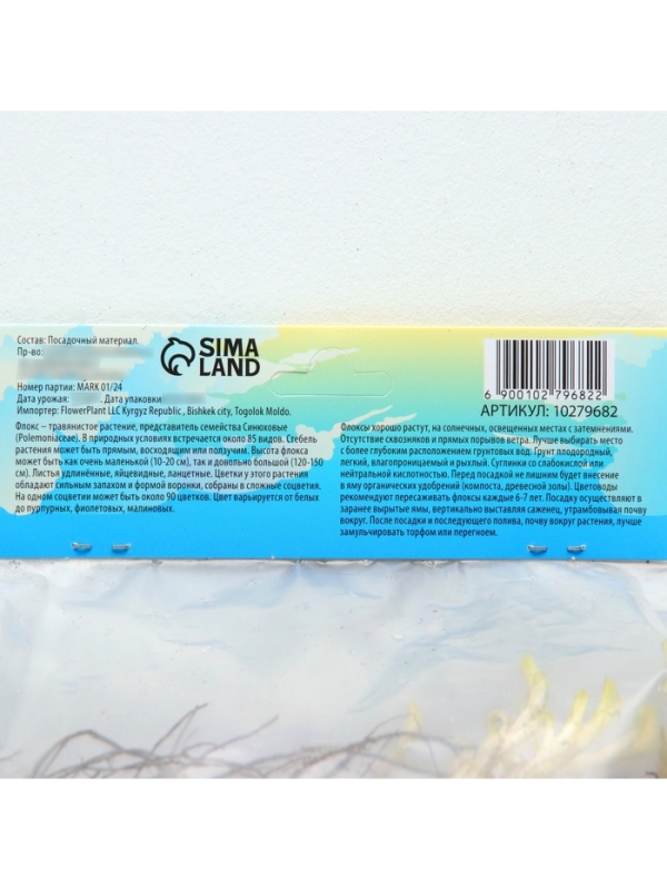 Флокс «Бамбини Кэнди Краш» ркорневище в пакете с торфогрунтом, -р I, 2 шт.