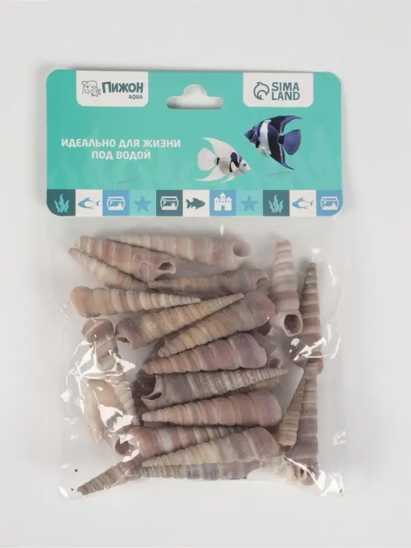 Набор ракушек, 3 - 5 см, 100 г