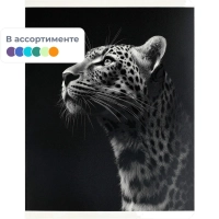 Тетрадь 48 л, клетка  МОНОХРОМНЫЙ ЛЕОПАРД  А5+, в ассорт/70925
