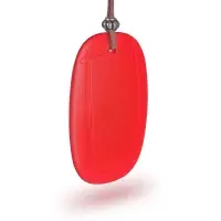 Ароматизатор AVS SG-046 Amulet (аром. Грейпфрут/Grape fruit) (гелевый)