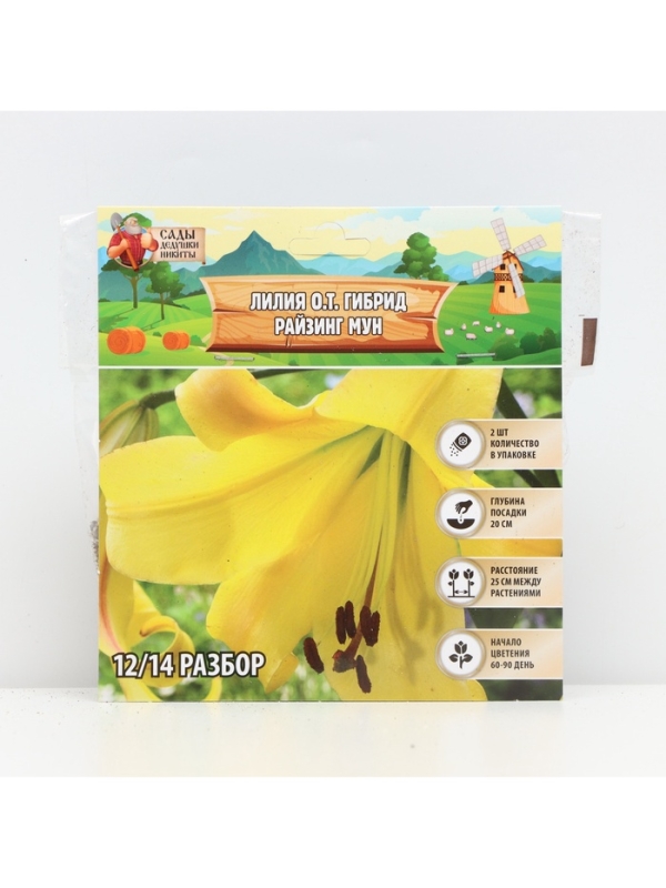 Лилия О.Т. Гибрид Rising Moon, луковица в пакете с перфорацией, р-р 12/14, 2 шт.