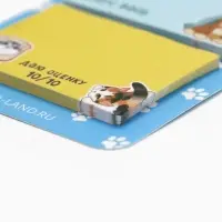 Стикеры с липким слоем «Котейки», 3 шт, 30 л