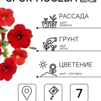 Семена цветов Петуния &laquo;Ура&raquo;, F1, красная, драже в пробирке, Syngenta, 7 шт., &laquo;Агрофирма АЭЛИТА&raquo;