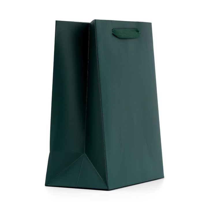 Пакет подарочный ламинированный, упаковка, «Изумрудный», MS 18 х 23 х 10 см