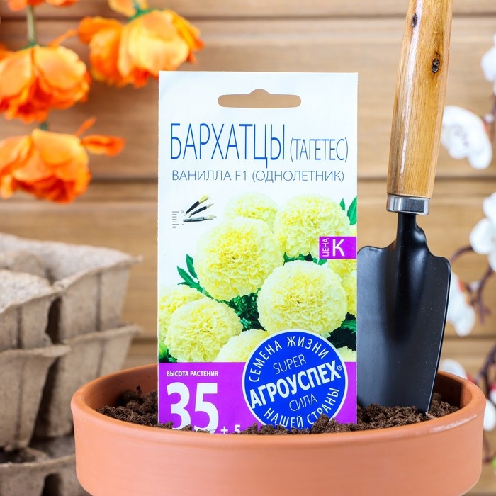 Семена цветов Бархатцы Семена цветов Бархатцы "Ванилла", F1, крупные, кремовые, О, 5 шт