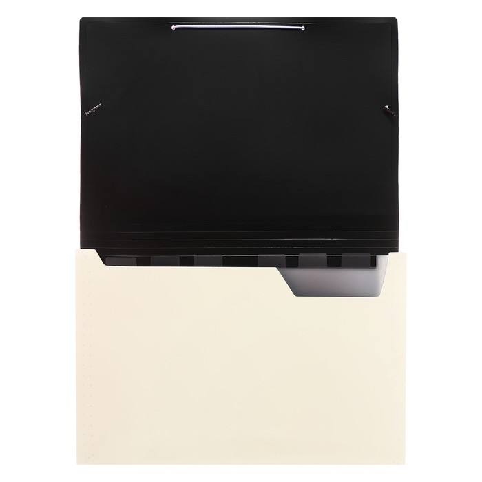 Папка картотека А4, Calligrata TOP DeLuxe, 6 отделений, пластиковая, 1000 мкм, молочная