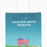 Пакет подарочный &laquo;Мечты сбываются&raquo;, Смешарики, 22&times;22&times;11 см