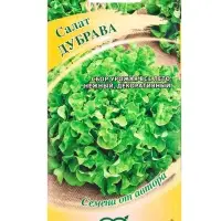 Семена Салат &laquo;Дубрава&raquo; листовой, 0.5 г