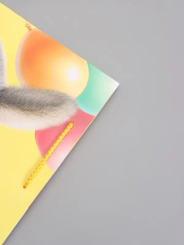 Пакет подарочный "С Днем Рождения!" ламинированный 26 х 12 х 32 см