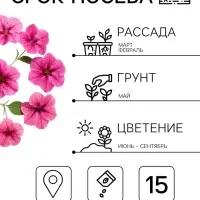 Семена цветов Петуния крупноцветковая &laquo;Танго&raquo;, розовая с вишневыми жилками, 15 шт., &laquo;ПОИСК&raquo;