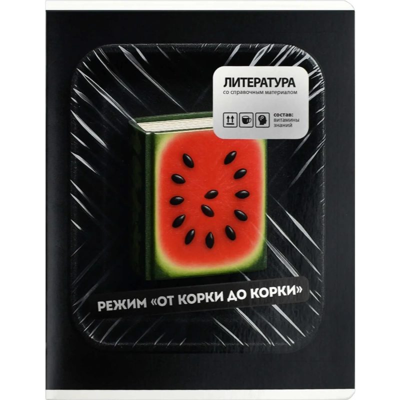 Тетрадь предметнaя ЛИТЕРАТУРА ФРАЗЫ С ХАРАКТЕРОМ48л.А5+,лин,справ/73072