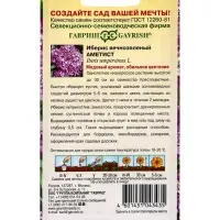 Семена цветов Иберис вечнозеленый &laquo;Аметист&raquo; 0.1 г