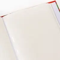 Фотоальбом на 300 фото 10&times;15 см &laquo;Мой школьные годы&raquo;