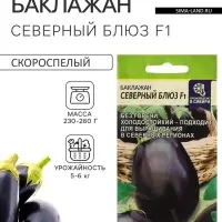 Семена Баклажан &laquo;Северный Блюз&raquo;, F1, 10 шт., &laquo;Семена Алтая&raquo;