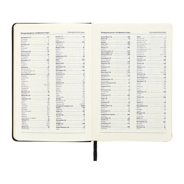 Ежедневник недатированный A5, 140 л, клетка, кожзам, на резинке, желтый срез, Черный