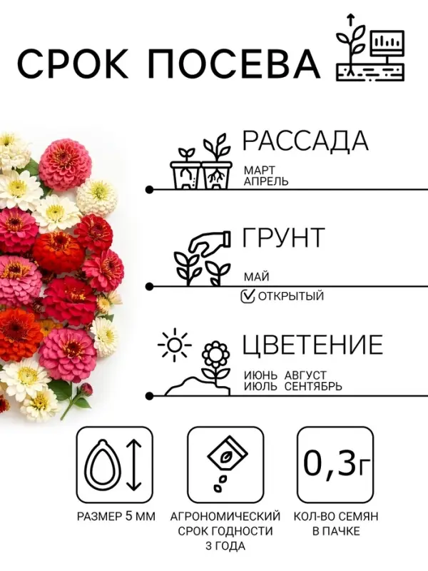 Семена цветов Цинния "Дюймовочка", смесь окрасок, О, 0,3 г