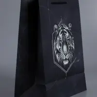 Пакет подарочный "Сила характера" ламинированный 26 х 12 х 32 см