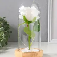 Фигурка световая колба RISALUX &laquo;Роза&raquo;, LED - ночник, 3&times;ААА, белый, 9.5&times;9.5&times;19.5 см