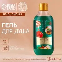 Гель для душа &laquo;Волшебные истории&raquo;, аромат яблочный пунш, 300 мл, URAL LAB