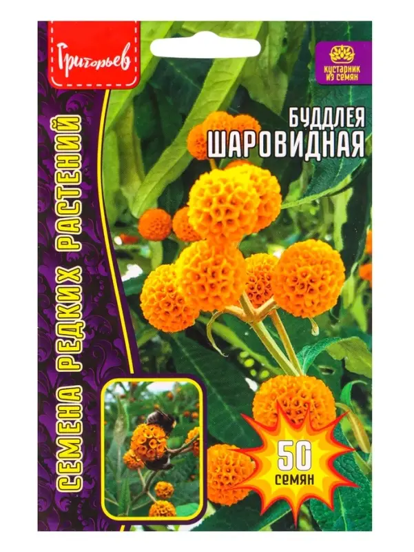 Семена цветов Буддлея Шаровидная   50шт. АКЦИЯ 12.28 г.