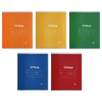 Тетрадь 18 листов в клетку Calligrata "Однотонная Классика Линовка. Эконом", обложка мелованная бумага, ВД-лак, блок №2 (серые листы), МИКС