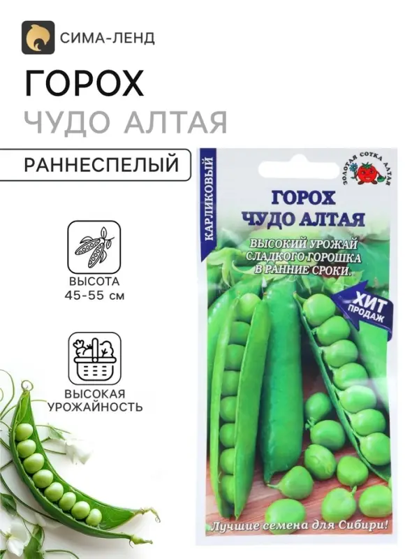 Семена Горох &laquo;Чудо Алтая&raquo;, 10 г, раннеспелый, &laquo;Золотая Сотка Алтая&raquo;