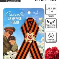 Значок с георгиевской лентой на 9 Мая «Спасибо за мирное небо!», 10.5×14 см