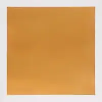 Плёнка матовая двухсторонняя «Эссенс»,золотой, 57×57 см