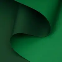 Пленка двухсторонняя для цветов и декора, 0.57&times;0.57 см, зелёный