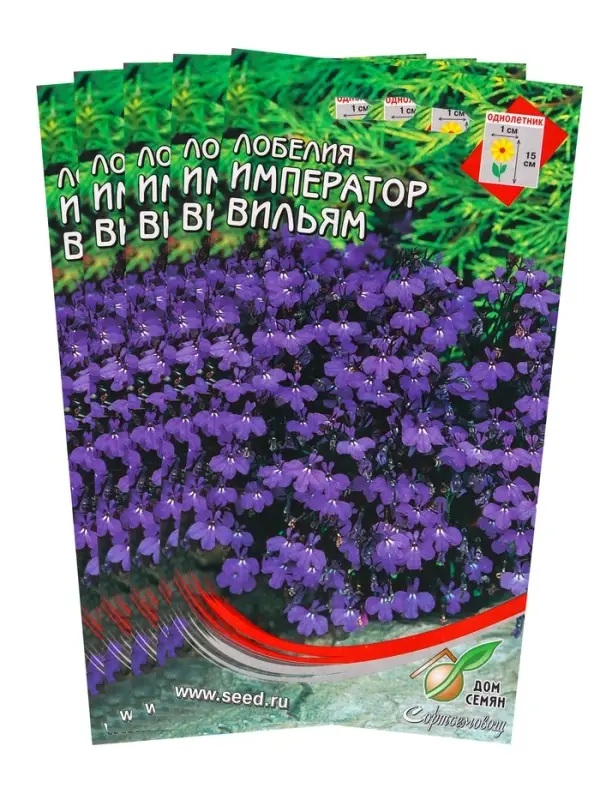 Набор семян Лобелия &laquo;Император Вильям&raquo;, 5 шт., &laquo;Мой выбор&raquo;
