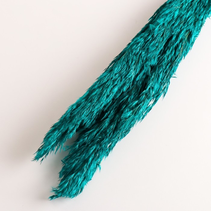 Набор сухоцветов Набор сухоцветов "Камыш", банч длина 65 (+/- 6 см), изумрудный