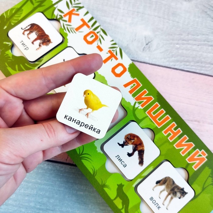 Игра на логику «Кто-то лишний» Игра на логику «Кто-то лишний»